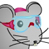 SAP102 Swimming Mice