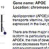 Apolipoprotein (APOE) Gene