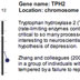TPH2 Gene