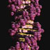 Explaining the DNA structure, 3D animation with basic narration