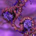 Chromosome coiling