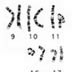Karyotype, male (black and white)