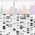 Outputs from DNA sequencing