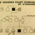 Sampl pedigree chart
