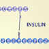 How insulin is made using yeast