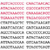 A mitochondrial DNA sequence