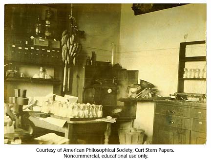 dannelse Erobring skære Columbia University Fly Room, around 1920 :: CSHL DNA Learning Center