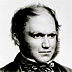 Gallery 12: Charles Darwin portrait drawing