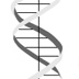 Animation 19:  The DNA molecule is shaped like a twisted ladder.