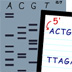 Problem 23: A gene is a discrete sequence of DNA nucleotides.